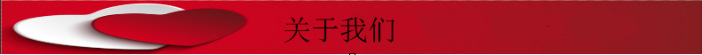 立式高溫消毒柜家用酒店學校食堂商用消毒柜雙門臭氧消毒柜