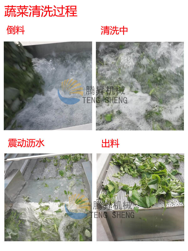 洗菜機 商用渦流洗菜機 震動瀝水生產線 蔬菜清洗機 廠家直銷