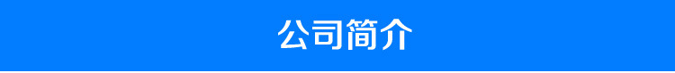 加厚雙缸燃氣油炸鍋商用炸油條油炸爐煤氣署塔專用油炸機炸薯條機