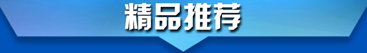 錢江雙門家用小型廚房冰柜 商用不銹鋼單溫冰箱 節(jié)能立式冷柜