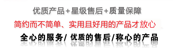 豪華方冰機120KG制冰機 斯伯利LB255H中小型商用食用冰塊制冰機