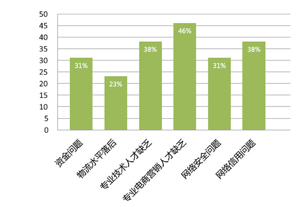 2015年酒店用品企業(yè)電子商務(wù)狀況大數(shù)據(jù)解析